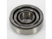 17304-SKF
