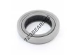 445248-SKF