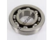 613420B-SKF