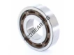 BB1-3194-SKF