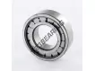 BC1-0013DD-SKF