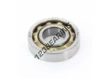 E13-SKF