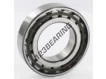 N210-ECP-SKF
