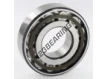 N308-ECP-SKF