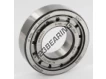 NJ206-ECJ-SKF