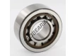 NJ2306-ECP-SKF
