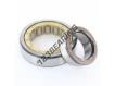 NJ310-ECM-C4-SKF