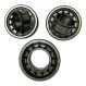 NJ320-ECM-C4-VA301-SKF