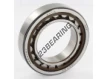 NU1009-ECP-SKF