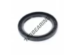 OAS-100X135X12-NBR