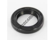 OAS-19X29X5-NBR