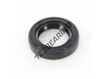 OAS-19X30X6-NBR