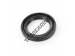 OAS-25X37X5-NBR