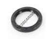 OAS-38.10X50.80X6.30-NBR