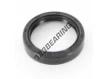 OAS-42.80X55X11-NBR