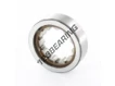 RNU203-TN9-SKF
