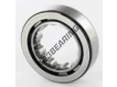 RNU305-SKF