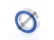 S6007-2RS-FDA-AISI420-ZEN