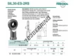 SIL30-ES-2RS-DURBAL