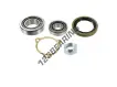 VKBA1386-SKF