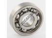 W6201-SKF